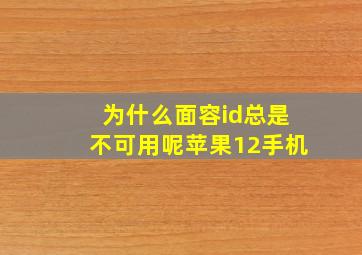 为什么面容id总是不可用呢苹果12手机