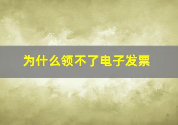 为什么领不了电子发票