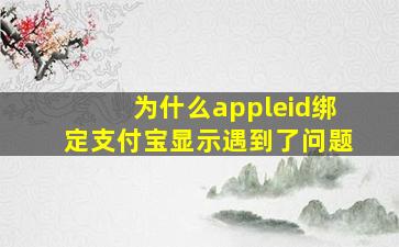 为什么appleid绑定支付宝显示遇到了问题