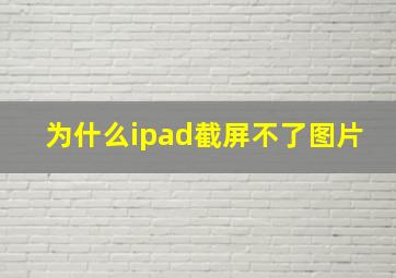 为什么ipad截屏不了图片