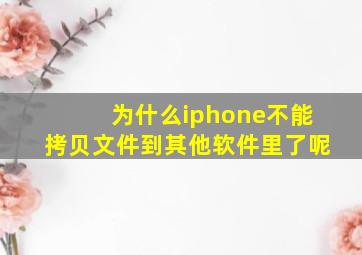 为什么iphone不能拷贝文件到其他软件里了呢