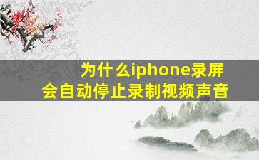 为什么iphone录屏会自动停止录制视频声音