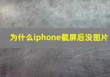 为什么iphone截屏后没图片