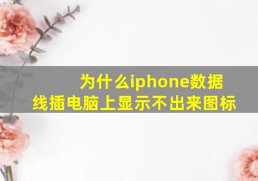 为什么iphone数据线插电脑上显示不出来图标