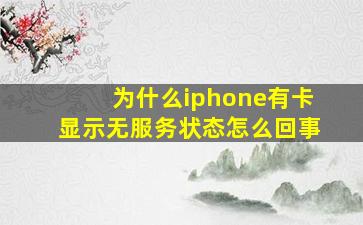 为什么iphone有卡显示无服务状态怎么回事