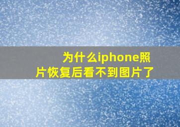 为什么iphone照片恢复后看不到图片了