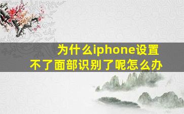 为什么iphone设置不了面部识别了呢怎么办