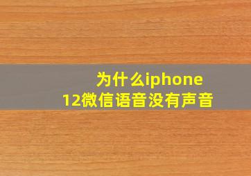 为什么iphone12微信语音没有声音