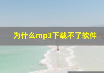 为什么mp3下载不了软件