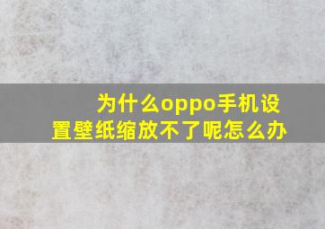 为什么oppo手机设置壁纸缩放不了呢怎么办