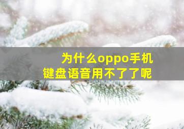 为什么oppo手机键盘语音用不了了呢