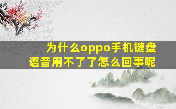 为什么oppo手机键盘语音用不了了怎么回事呢