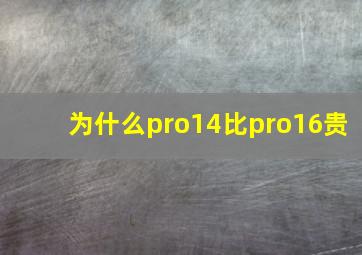 为什么pro14比pro16贵