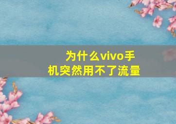 为什么vivo手机突然用不了流量