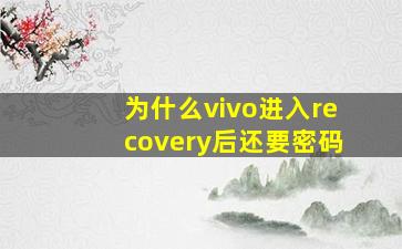 为什么vivo进入recovery后还要密码