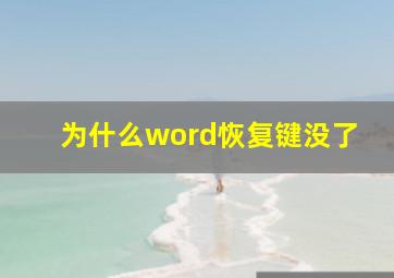 为什么word恢复键没了