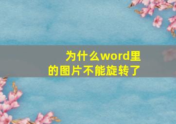 为什么word里的图片不能旋转了