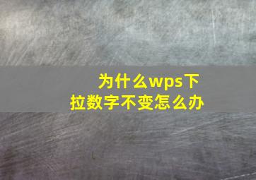 为什么wps下拉数字不变怎么办