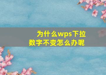 为什么wps下拉数字不变怎么办呢