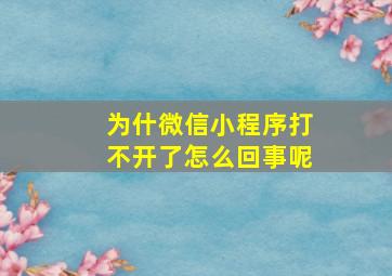 为什微信小程序打不开了怎么回事呢