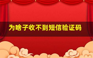 为啥子收不到短信验证码