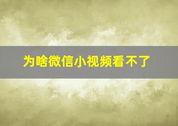 为啥微信小视频看不了