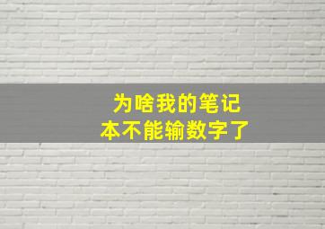 为啥我的笔记本不能输数字了