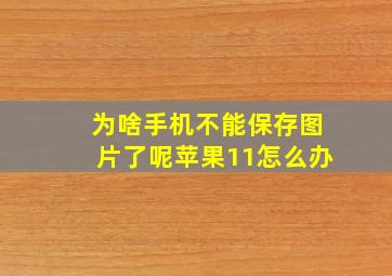 为啥手机不能保存图片了呢苹果11怎么办