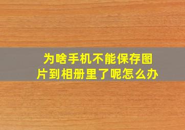 为啥手机不能保存图片到相册里了呢怎么办