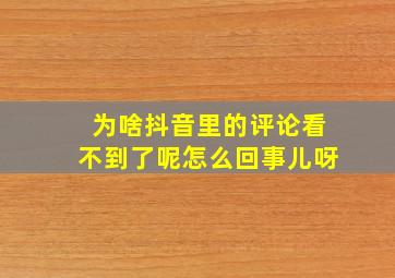 为啥抖音里的评论看不到了呢怎么回事儿呀