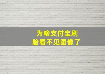 为啥支付宝刷脸看不见图像了