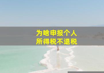 为啥申报个人所得税不退税