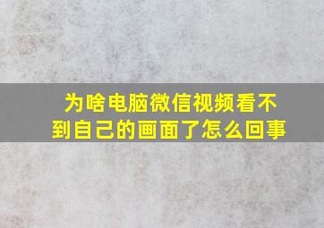 为啥电脑微信视频看不到自己的画面了怎么回事