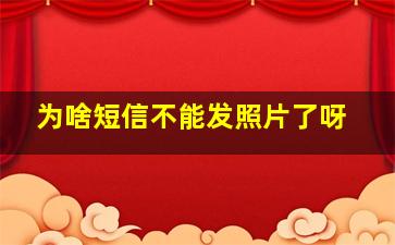 为啥短信不能发照片了呀