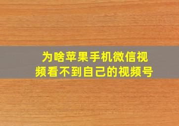 为啥苹果手机微信视频看不到自己的视频号