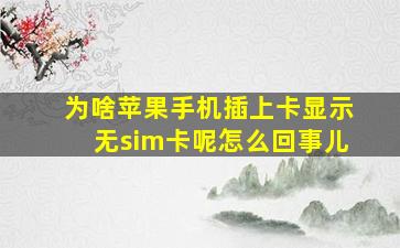 为啥苹果手机插上卡显示无sim卡呢怎么回事儿