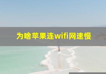 为啥苹果连wifi网速慢