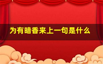 为有暗香来上一句是什么