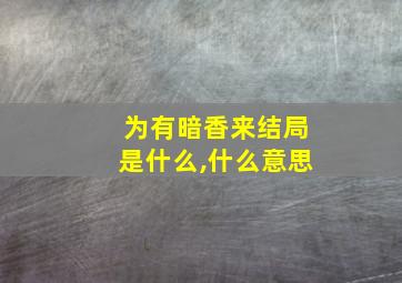 为有暗香来结局是什么,什么意思