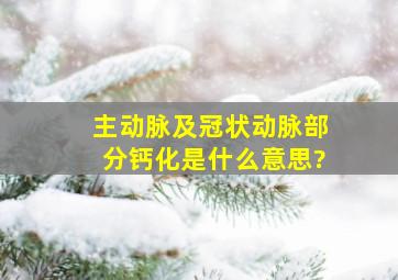 主动脉及冠状动脉部分钙化是什么意思?