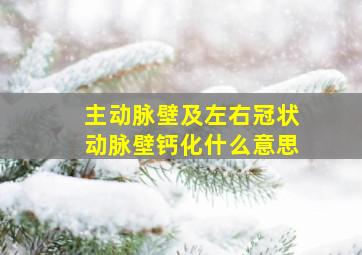 主动脉壁及左右冠状动脉壁钙化什么意思