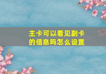 主卡可以看见副卡的信息吗怎么设置