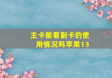 主卡能看副卡的使用情况吗苹果13