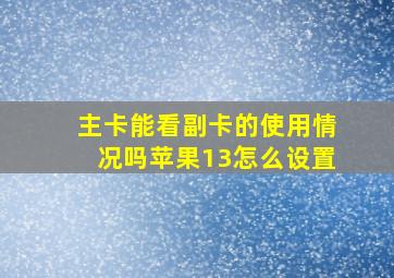 主卡能看副卡的使用情况吗苹果13怎么设置