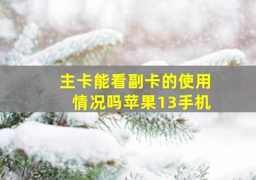 主卡能看副卡的使用情况吗苹果13手机