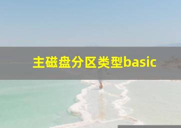 主磁盘分区类型basic