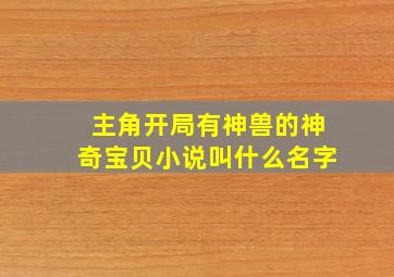 主角开局有神兽的神奇宝贝小说叫什么名字