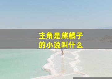 主角是麒麟子的小说叫什么