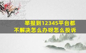 举报到12345平台都不解决怎么办呀怎么投诉