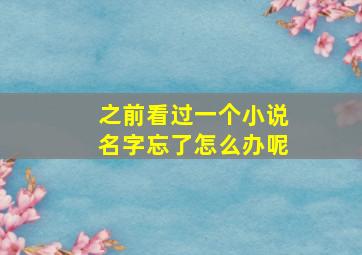 之前看过一个小说名字忘了怎么办呢